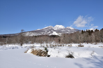 Fototapeta na wymiar 冬の妙高山