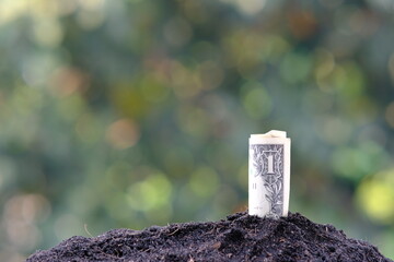 banknote money on white background and saving money and business growth concept, finance and investment concept