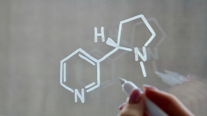 Drawing of the chemical structure of nicotine on the glass with a white marker. - obrazy, fototapety, plakaty