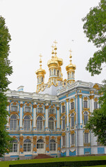 Fototapeta na wymiar Tsarskoye Selo in the rain, Saint-Petersburg
