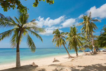 Amazing paradise view to Alona beach with palms in Bohol Panglao island, Philippines