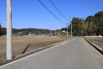 Naklejka premium 田舎道