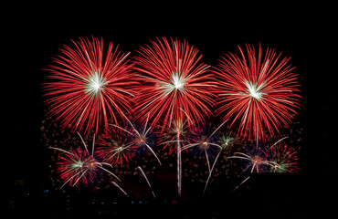 Fototapeta premium Fireworks with different color and pattern for celebration in various events including new year, party, ceremony, birthday or other show and display on night dark sky background.