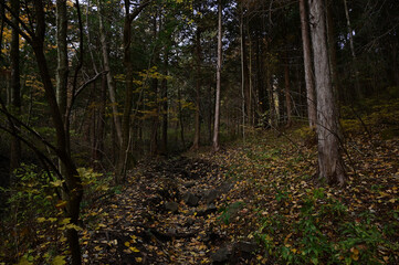 紅葉シーズンの榛名山（掃部ヶ岳）の登山