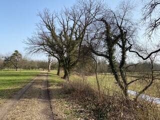 Recreational trails and promenades in the natural protection zone Aargau Reuss river plain...