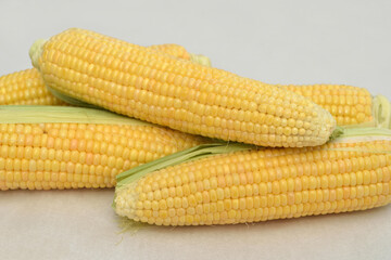 Raw organic fresh yellow corn on cobs on the table