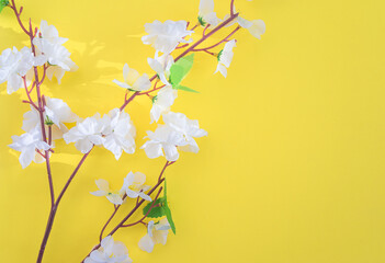 Easter holiday or springtime greeting card. Branch with white flowers on yellow background. Space for text