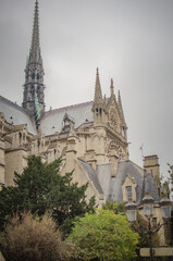 Fototapeta na wymiar Details of Notre Dame de Paris Cathedral. Paris. France. Gargoyle mythical creature on the roof of Notre Dame de Paris Cathedral. Tower view.