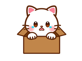 捨て猫のイラスト