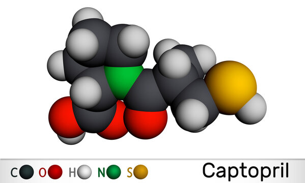 Captopril molecule. It is angiotensin-converting enzyme inhibitor, ACE inhibitor, used in the treatment of hypertension, high blood pressure. Molecular model. 3D rendering