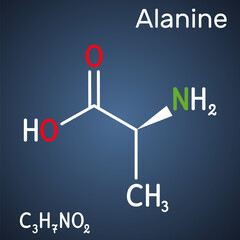 Alanine, L-alanine, Ala, A molecule. It is non-essential amino acid. Structural chemical formula on the dark blue background