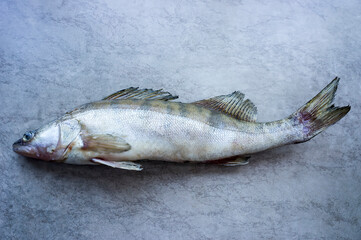 Big river fish on the table