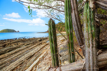 Costa Rica coast