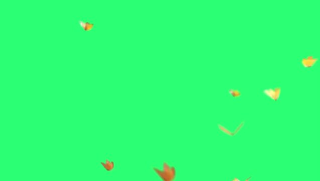 Animation yellow butterfly flying on green background.