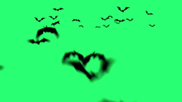 Animation bats flying on green background.
