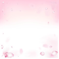 Cherry Sakura Blossom Confetti. Beautiful Rich VIP Magic Texture.