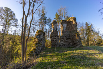 Fototapeta na wymiar Chlum ruins from the 13th century near Zbysov, Central Bohemia, Czech Republic