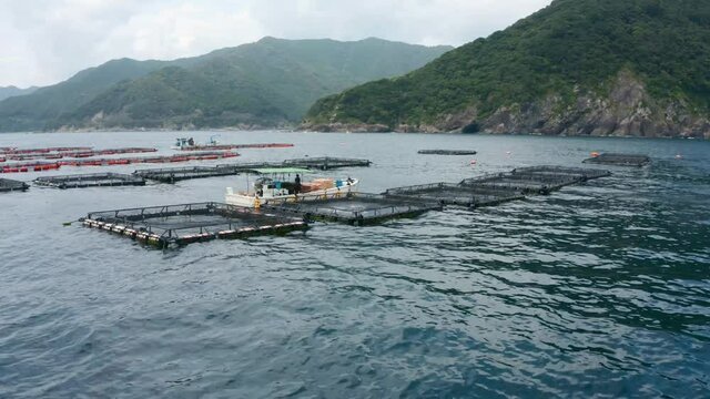 Drone shot of an amazing yellowtail fish farm in Saiki Prefecture, Japan on a cloudy day with mountains in the back. The beautiful coastal region has many fish feeding stations in the waters upfront. 