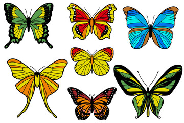 set of butterflies