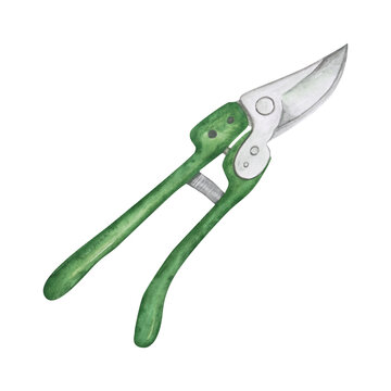 recommend clip art: Hand-drawn garden pruner isolated on a white background. Watercolor illustration of the garden tool. Secateurs. Green farmhouse clipart for your design. Gardening supply. Scissors.