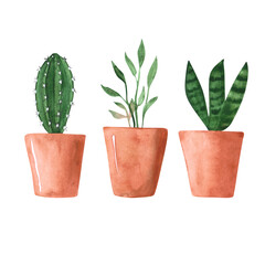 Set of 3 watercolor potted plants isolated on a white background. Hand-drawn collection of cactus, snake plant, and pothos flower in ceramic pots. Greenery clipart. Minimal home plant print. 