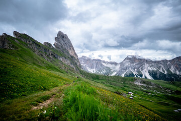 Obraz premium The green meadows of Seceda, South Tyrol - Italy.