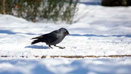Cold feet