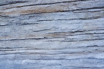 Light grey paint textured wall closeup.