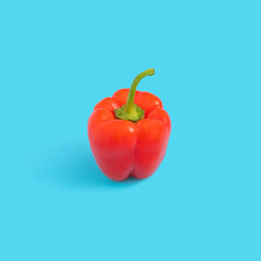 Sweet red pepper on pastel blue background
