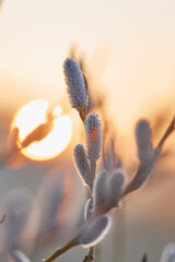 Februarstimmung © AxG