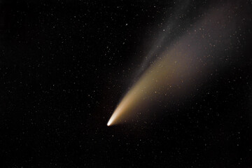 comet neowise with plasma tail in the deep night sky - obrazy, fototapety, plakaty
