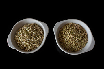 Green buckwheat with sprouts
