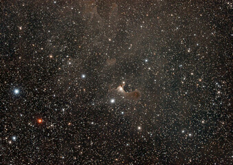 little ghost nebula with interstallar dust around