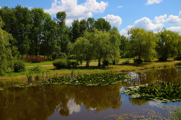 Fototapeta na wymiar View of a small lake on a sunny day.