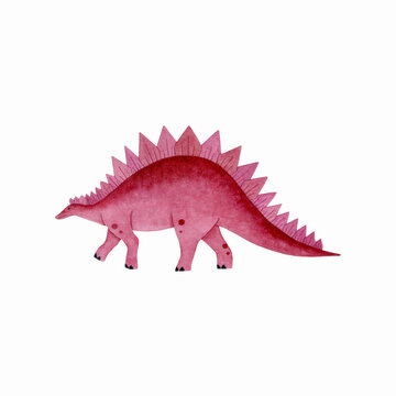 Watercolor illustration of stegosaurus. Hand drawn colored dinosaur isolated on hite background. Cute dino illustrtion for parties, prints, kids books, stickers.