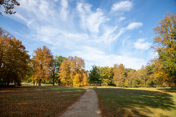 Obraz premium Fürst Pückler Park Bad Muskau