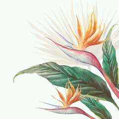 Exotic flower illustration. Strelitzia royal and green leaves. Bird of Paradise plant card