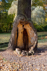 Fürst Pückler Park Bad Muskau