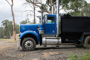 Blue truck