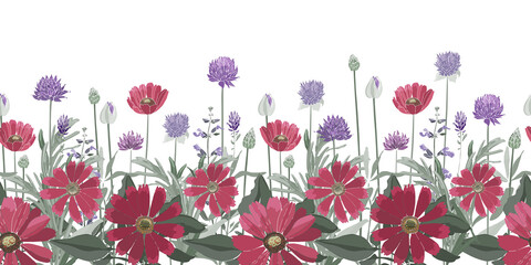 Vector floral seamless border. Summer flowers, herbs, leaves. Gaillardia, marigold, oxeye daisy, rosemary, lavender, sage, allium. Red, purple flowers isolated on a white background.