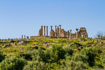 Fototapeta na wymiar UNESCO heritage. Extensive complex of ruins of the Roman city Volubilis - of ancient capital city of Mauritani. Meknes region, Morocco, North Africa