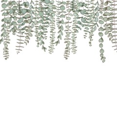 Eucalyptus branches hanging from top, copy space Watercolor like composition Herbs for cards, wedding invitation