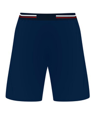 Blue shorts, front  view, vector illustration