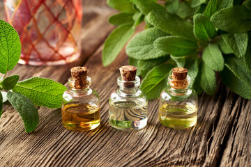 Three bottles of essential oil with fresh sage plant