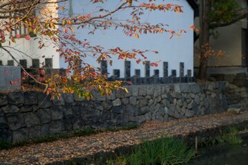八幡堀と紅葉