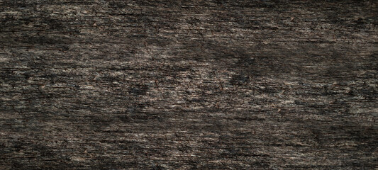 Old tree bark texture background of the natural pattern. Panoramic wood bark background of the oak...
