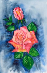 watercolor drawing, rose red, blue background, interior painting
