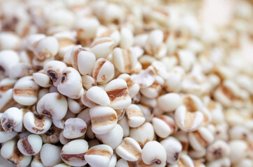 Closed up dry organic job's tear seed pile in soft light brown tone