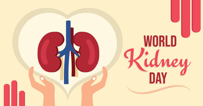 World kidney day healthcare medical campaign poster, vector image