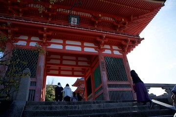 京都のお寺と紅葉